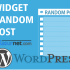 Permalink ke Cara Memasang Widget Random Post Pada WordPress
