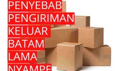 Permalink ke Penyebab Pengiriman Barang Dari Batam Lama Nyampe