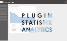 Permalink ke Rekomendasi Plugin Statistik Pengunjung Blog WordPress